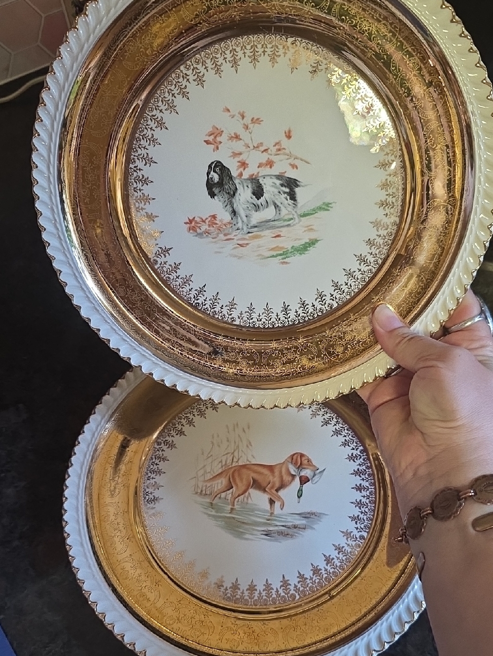 Decorative Gold and White Hunting Dog Wall Plate - Home Wall Decor